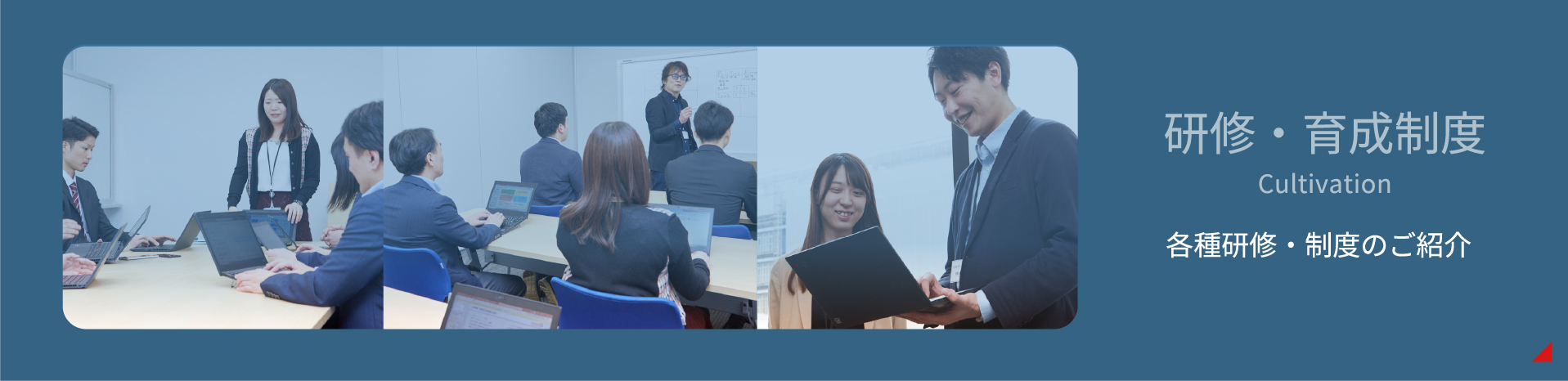 各種研修・制度のご紹介