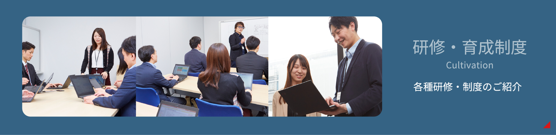 各種研修・制度のご紹介