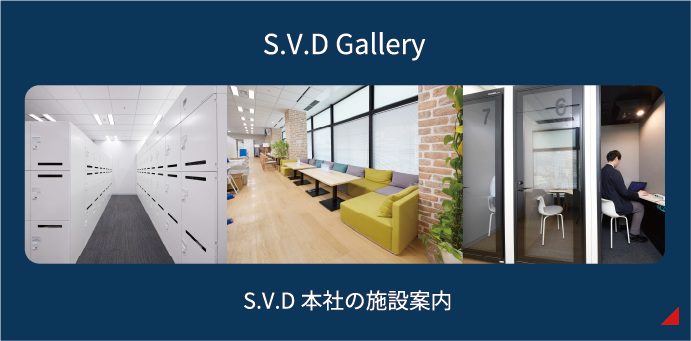 S.V.D Gallery