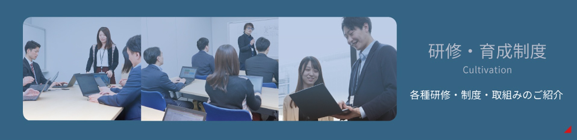 各種研修・制度のご紹介