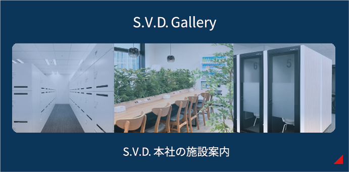 S.V.D. Gallery